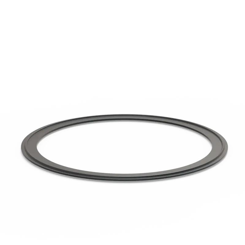 TC-Dichtung EPDM (FDA) DN200 Reihe A