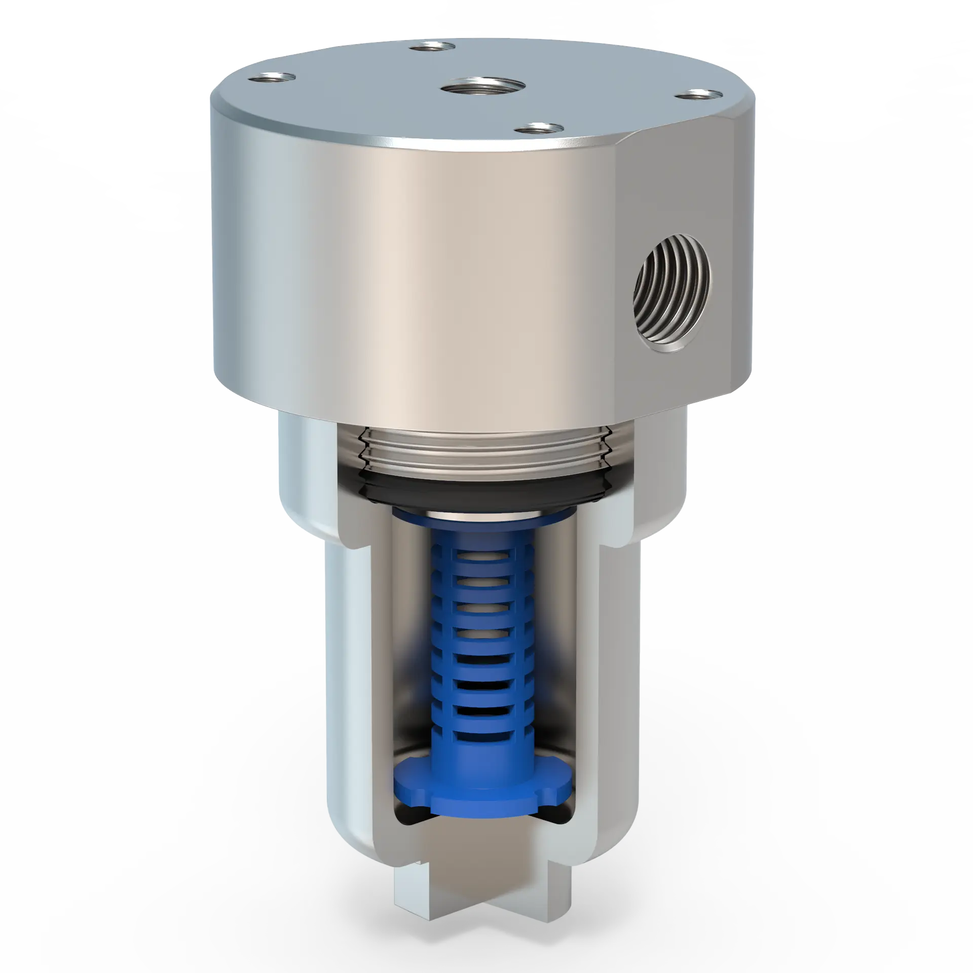 Kerzenfiltergehäuse - Edelstahl - F10-VA Schnitt F1013-VA